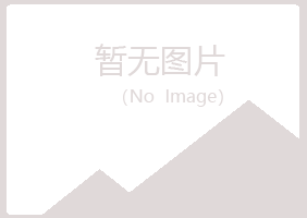 尼木县山柏工程有限公司